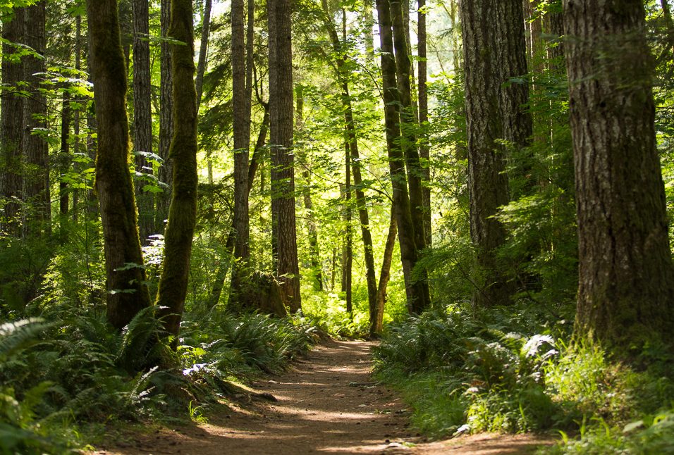 Featured destination: Seal Bay
